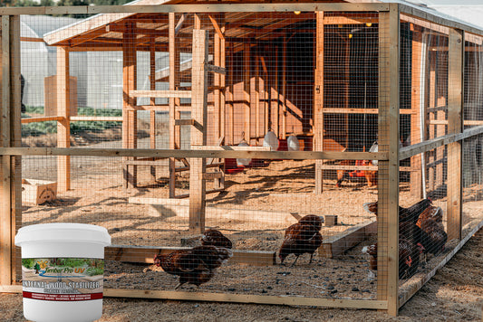 Why Treating Your Chicken Coop with Our Internal Wood Stabilizer is a Game Changer