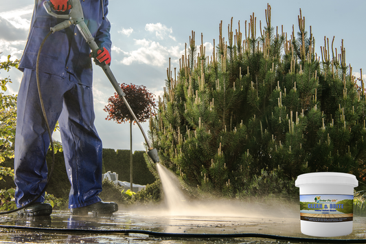 Choose Non-Toxic Clean & Brite for Annual Wood and Concrete Maintenance
