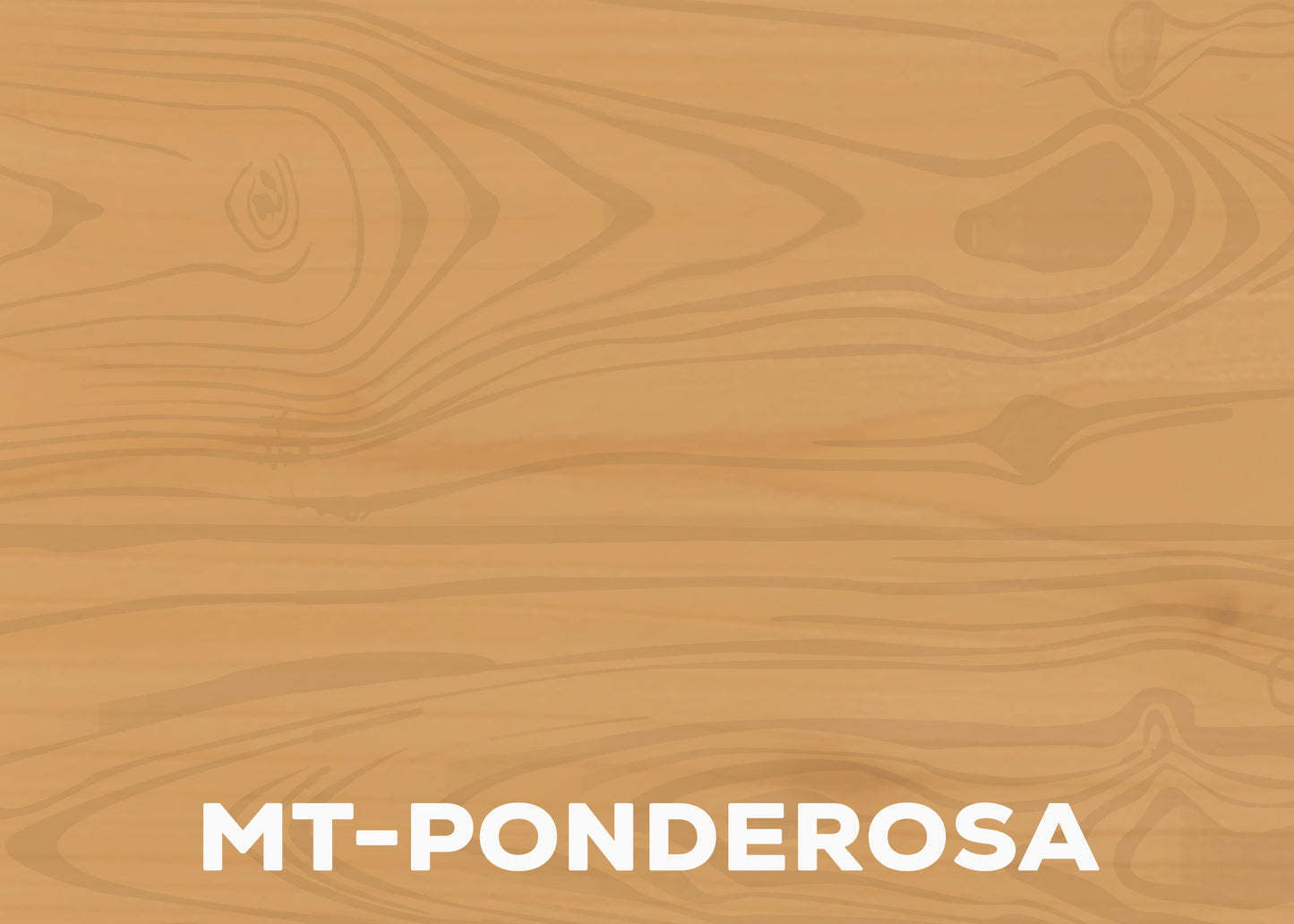 Deck & Fence | Microtint Series